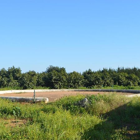 Quinta Das Figueiras Vila Nova de Cacela Εξωτερικό φωτογραφία
